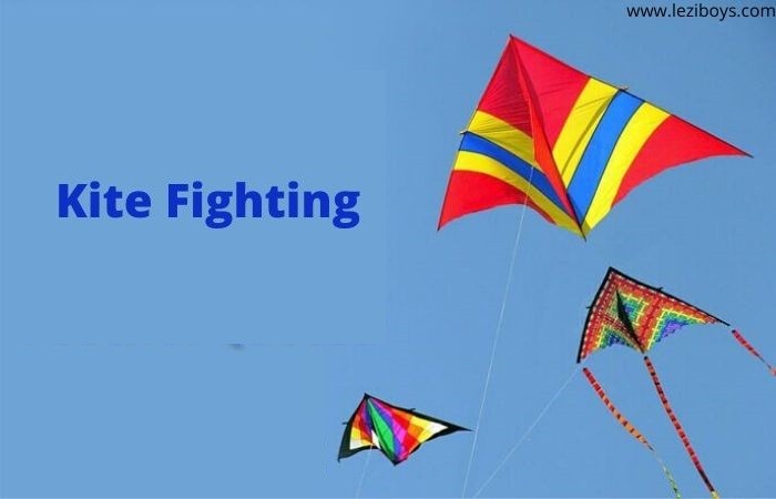 Kite Fighting During the Kite Festival