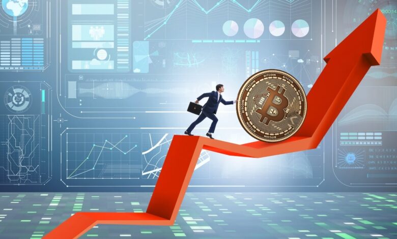 10 Top Cryptocurrency in 2024 To Hold a Long Term